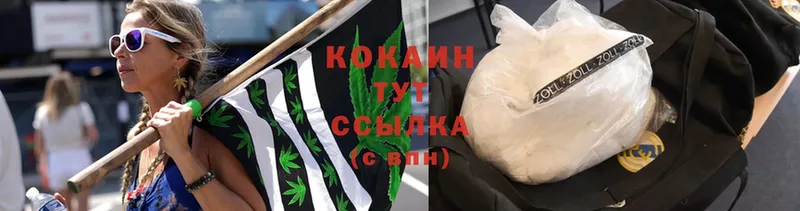 Cocaine FishScale  Морозовск 